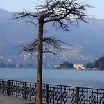 Cao Brunate