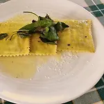 Cao * Brunate